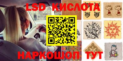 прущие грибы Краснознаменск