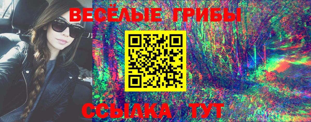 Галлюциногенные грибы ЛСД  Вход с VPN  Касимов 