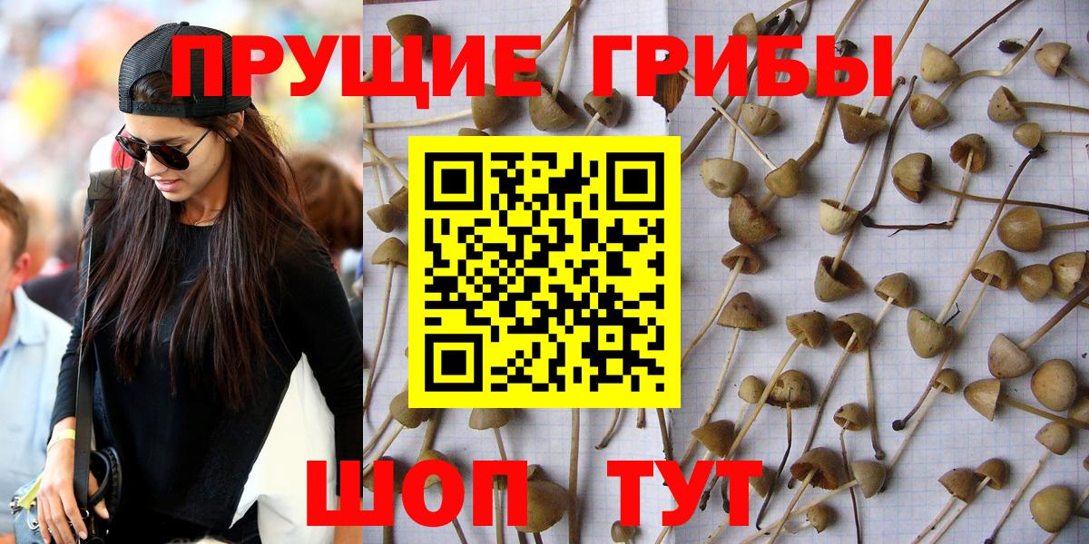 Галлюциногенные грибы мицелий Касимов